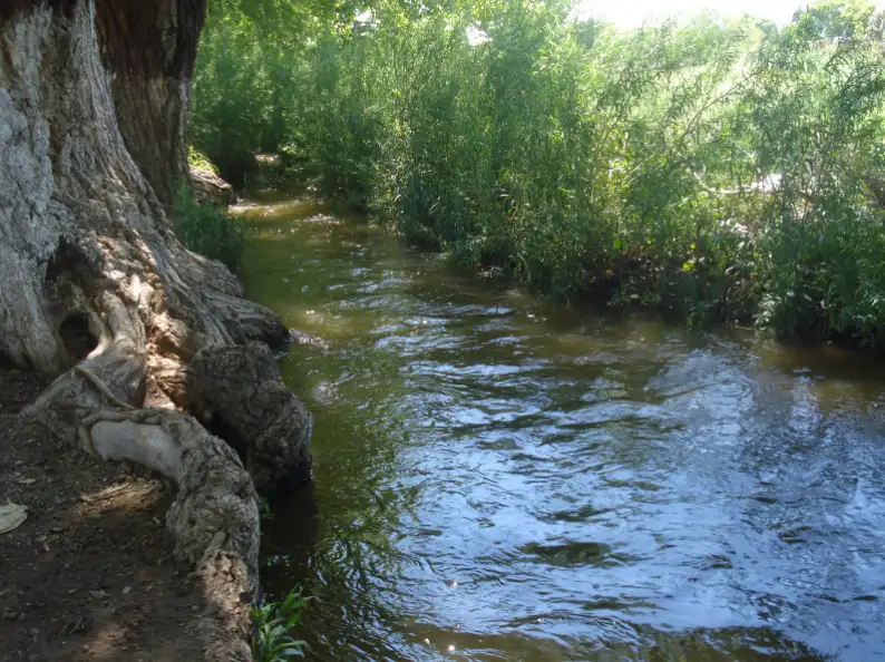 Blog Image
