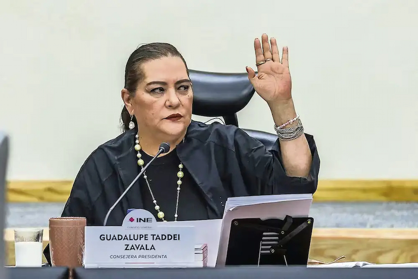 INE publica renuncia de Guadalupe Taddei y después elimina comunicado