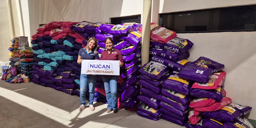 Recaudan alimento para refugios en carrera con mascotas en Juárez