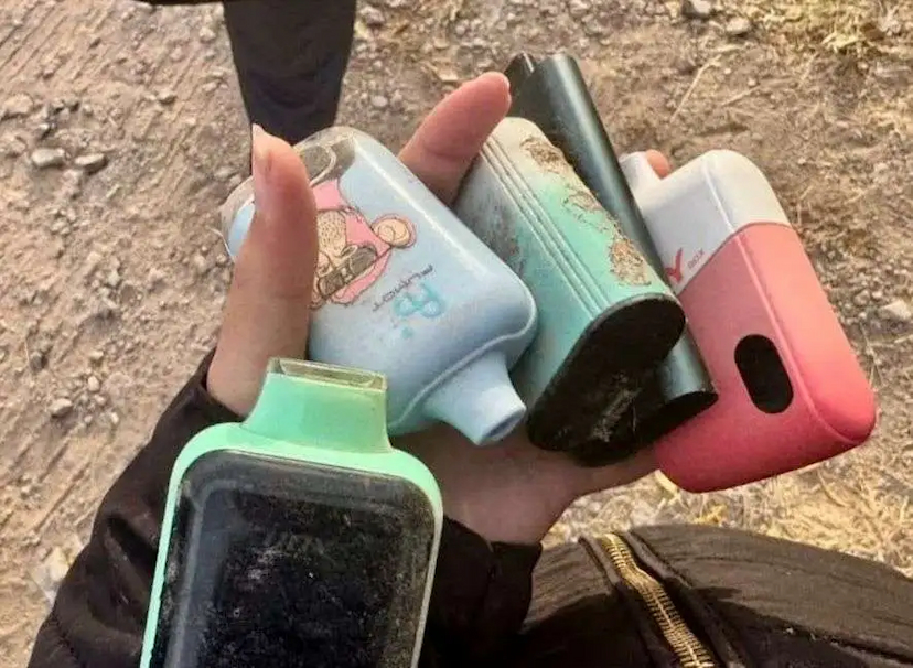 Realizan operativo mochila con perros K9 en Cobach Chihuahua