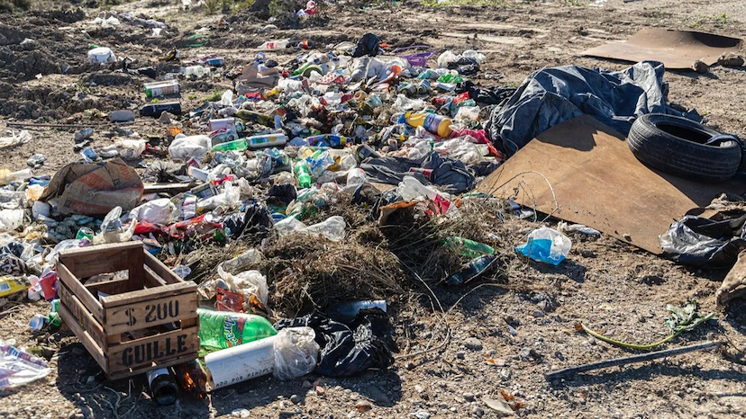 Alertan sobre basura clandestina y tala ilegal en Camargo