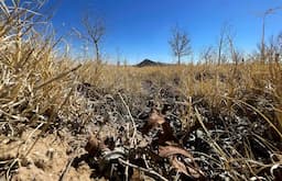 Productores piden calma ante crisis hídrica en Chihuahua