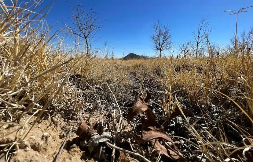 Productores piden calma ante crisis hídrica en Chihuahua