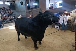 Chihuahua impulsa sello de origen para su carne