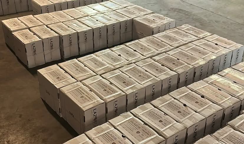 Chihuahua inicia canje de placas metálicas con descuentos