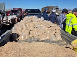 Exigen productores chihuahuenses precios justos