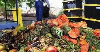 Samalayuca impulsa composta con residuos del mercado