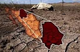 Sequía en Chihuahua impacta a 27 municipios