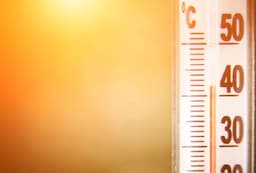 Enfrenta el estado invierno con clima cálido