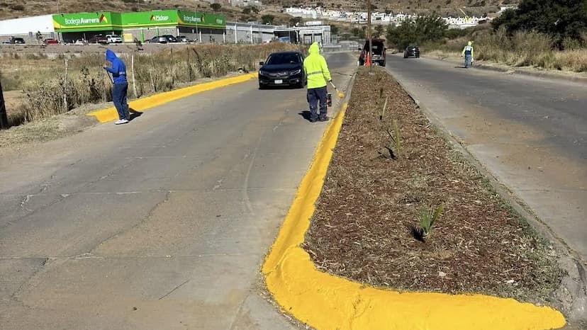 Parral impulsa reforestación con 796 nuevos árboles