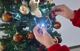 Recomienda CEPC celebrar fiestas con seguridad