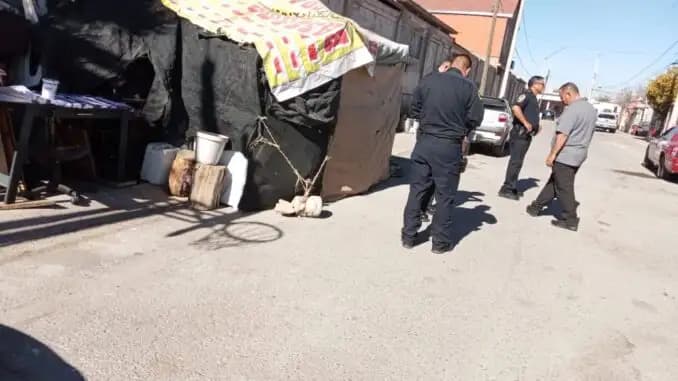 Guardianes Ecológicos refuerzan vigilancia en Chihuahua