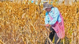 Camargo asegura agua para ciclo agrícola 2026