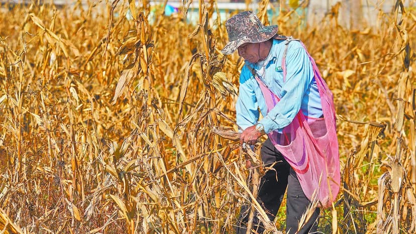 Camargo asegura agua para ciclo agrícola 2026