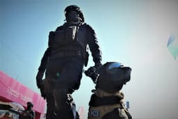 Disminuye percepción de inseguridad en la frontera de acuerdo a encuesta (ENSU) del INEGI