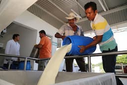 Productores de leche en Chihuahua alzan la voz por deudas de Liconsa