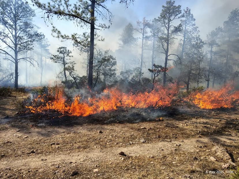Trabajo incansable para controlar incendios forestales