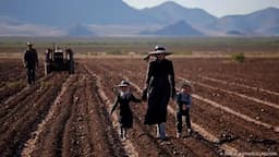 Amenaza brote de sarampión a comunidades menonitas en Chihuahua