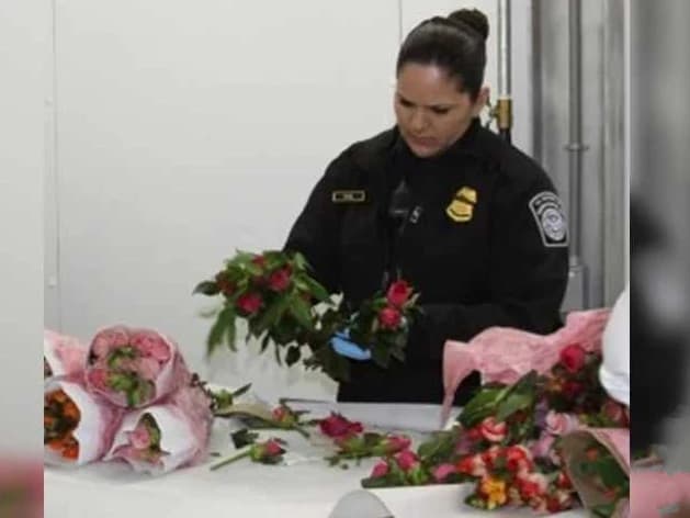 Normas de importación: CBP establece límite para regalos por Día de las Madres