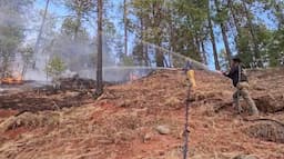 Devastan incendios a Madera en lucha contra incendios