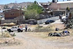 'Manos a la Obra' emprende combate contra plagas en Chihuahua