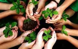 Chihuahua premia a los guardianes del medioambiente