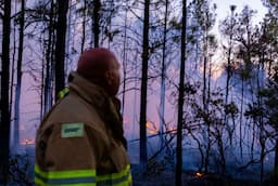 Lluvias extinguen el último incendio forestal en Chihuahua