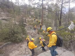 Incendios desatan alarma en Bocoyna: uno controlado y otro en proceso