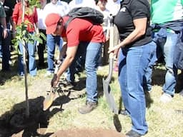La Cruz se viste de verde con la campaña ecológica 'Plantemos un Árbol'
