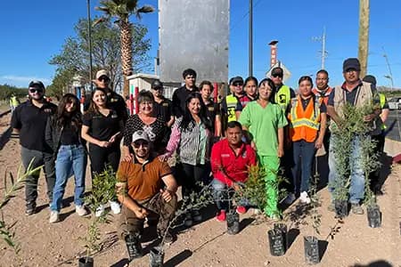 Reverdece Nuevo Casas Grandes con audaz campaña de plantación