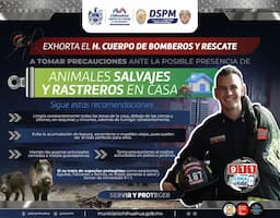 Animales salvajes invaden Chihuahua