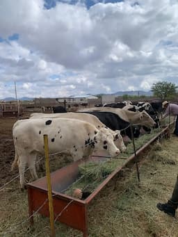 Ofrece Secretaría de Desarrollo Rural créditos emergentes para productores ganaderos