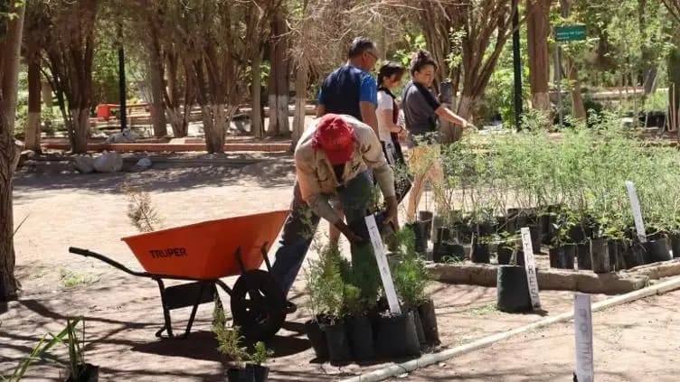 Regala Juárez 4 mil árboles para celebrar el Día Mundial del Árbol