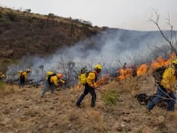 Intenso combate a los incendios forestales en Chihuahua: 84 Héroes en Acción