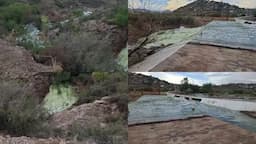 Chihuahua se recupera con lluvias: La Presa Chuviscar rebosa con vida