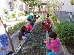 Iniciativa Verde: Huerta escolar despierta conciencia en Coyame