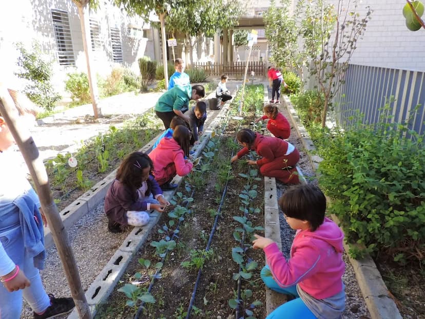 Iniciativa Verde: Huerta escolar despierta conciencia en Coyame