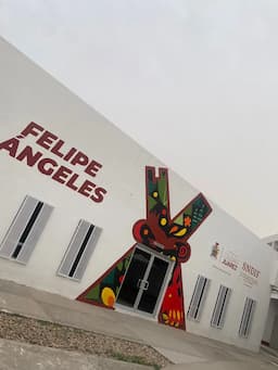 Refugio en Ciudad Juárez: Un oasis tras las tormentas