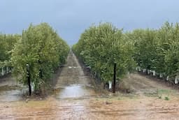 Camargo: las lluvias traen esperanzas pero no solucionan la sequía