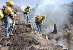Héroes del fuego en Chihuahua: Un valor que trasciende
