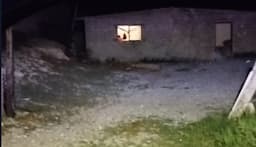 Joven tarahumara pierde la vida en circunstancias desconcertantes