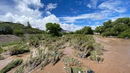 Contaminación ataca al río Sacramento: el plástico y llantas se adueñan del cauce