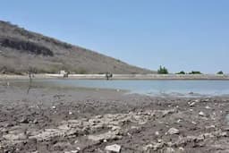 Chihuahua se alivia del calor: lluvias alivian la sequía en el estado