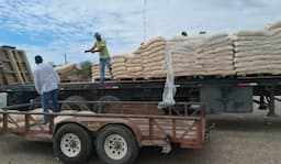 Distribuyen maíz subsidiado a productores en La Cruz