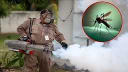 Confirma Chihuahua muerte por dengue tras 15 años