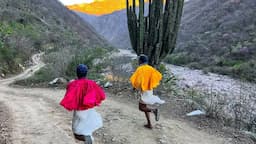 Ultra Trail Mont Blanc atraerá turismo a la Sierra Tarahumara