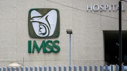 Lanza IMSS Modalidad 10 para independientes