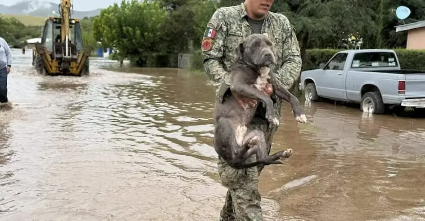 Inundaciones afectan 140 casas en Casas Grandes