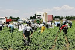 Mejoran albergues para jornaleras en Chihuahua