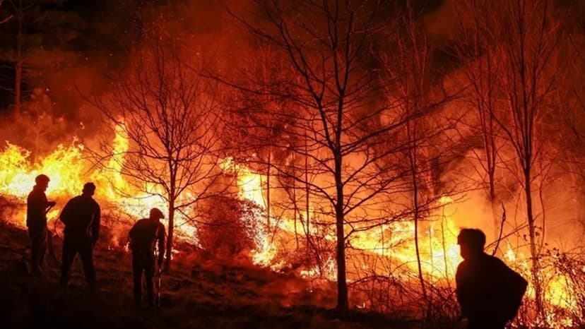 Intensifican inspecciones en Chihuahua por incendios